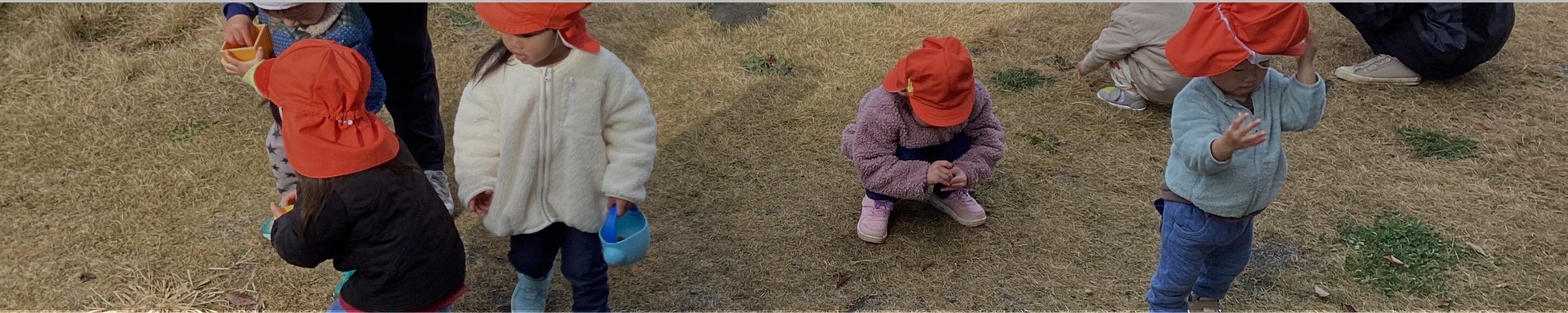 当園について